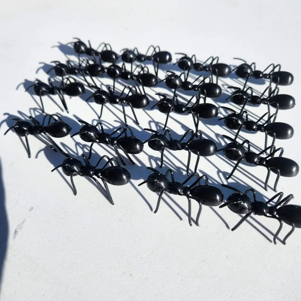 24 Ant Insects Cupcake Cake Toppers Picks New Party Supplies DIY Baking Decor Bl